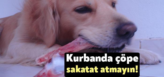 Kurban Bayramı’nda kesilen hayvanların gelişi güzel atılan sakatatları büyük tehlike