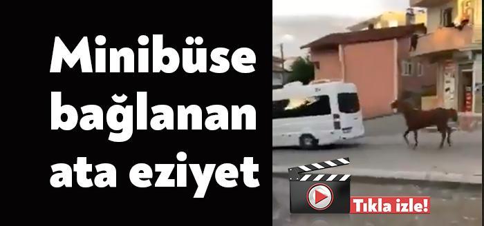 Kocaeli'nin Gebze ilçesinde bir servis aracına bağlanan ata eziyet yapıldı.