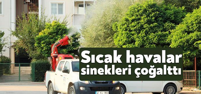Sıcak havalar sinekleri çoğalttı