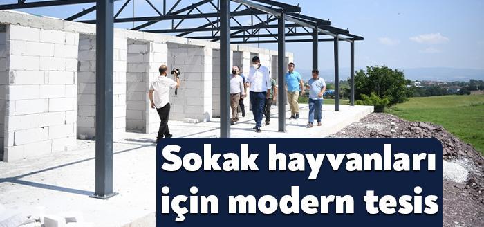Kartepe Belediye Başkanı Av.M.Mustafa Kocaman’ın talimatıyla start verilen “Sokak Hayvanları