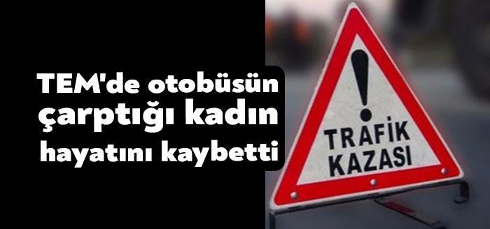 Kocaeli'nin Körfez ilçesi TEM Otoyolu'nda yolun karşısına geçmek isterken otobüsün