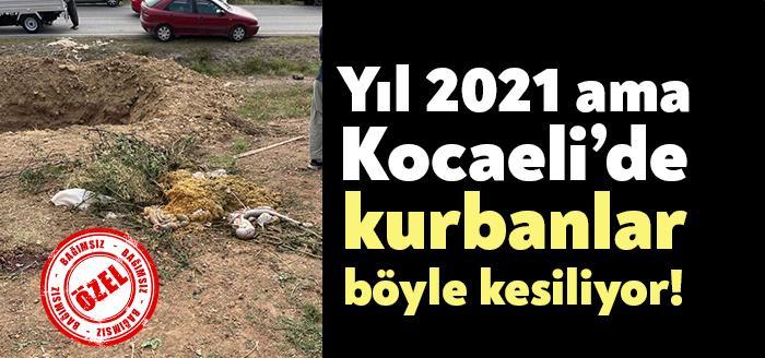 Kurban Bayramı’nda kurban ibadeti için vatandaşlar, büyük mezbahaları tercih ederken