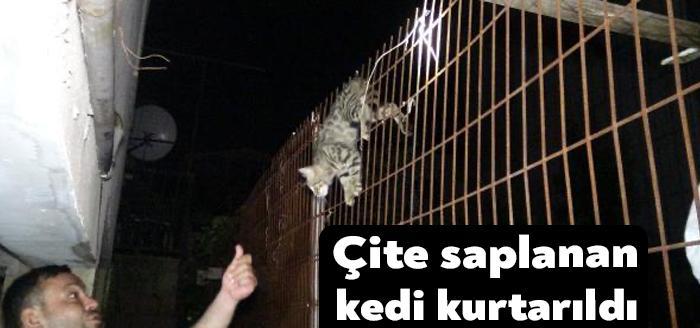 Kocaeli'nin Darıca ilçesinde çitin üzerinden atlarken karnına saplanan tel nedeniyle