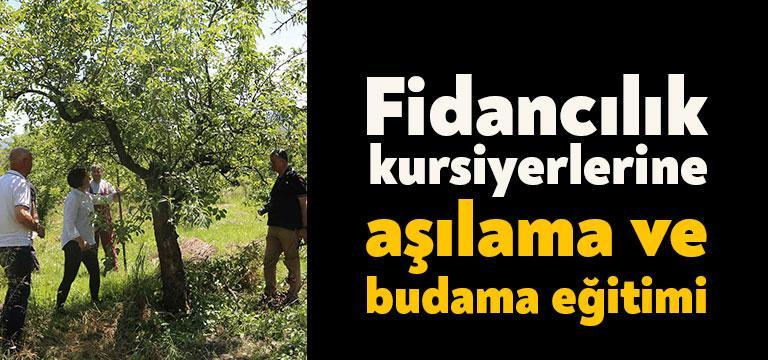 KO-MEK, Fidan Yetiştiriciliği kursu açarak meyve ağaçlarında aşılama ve budama