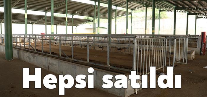 İzmit Belediyesi Modern Hayvan Pazarı’nda Kurban Bayramı’nın ilk gününde de