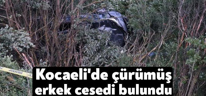 KOCAELİ'nin Darıca ilçesinde ağaçlık alanda çürümüş kimliği belirsiz erkek cesedi
