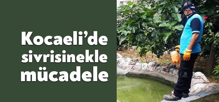 Kocaeli Büyükşehir Belediyesi, vatandaşların rahat bir yaz mevsimi geçirebilmesi amacıyla
