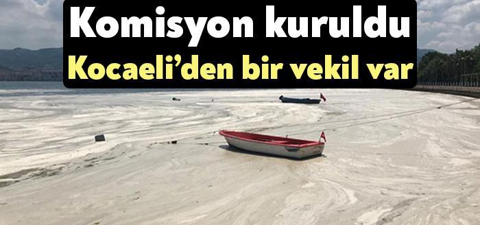 Başta Marmara Denizi Olmak Üzere Denizlerimizdeki Müsilaj Sorununun Sebeplerini Araştırarak