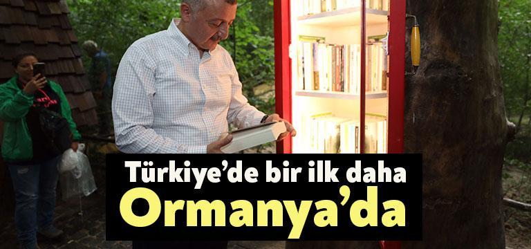 Bir kütüphane düşünün ve bu kütüphane ormanın içinde. İnsanların kitap