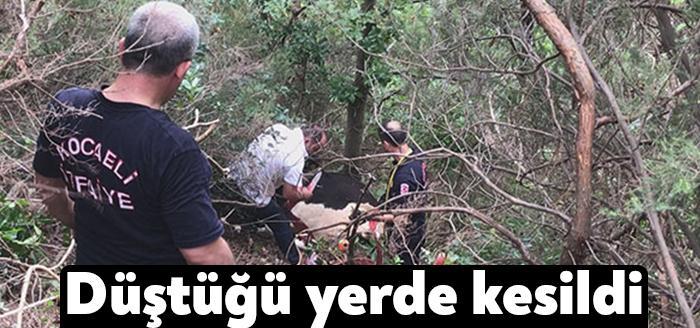 Kocaeli'nin Derince ilçesinde ipi gevşek bağlanan inek sahibinden kaçtı. Uyuşturucu iğneyle vurulan hayvan 20 metre yükseklikten