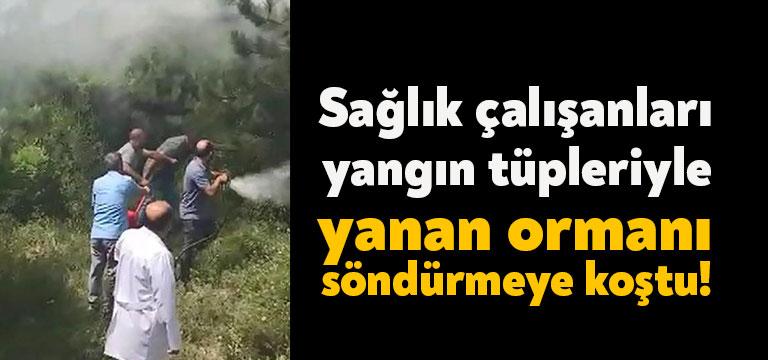 Kocaeli'nin Dilovası ilçesinde Dilovası Devlet Hastanesi'nin yanındaki ormanlık alanda çıkan