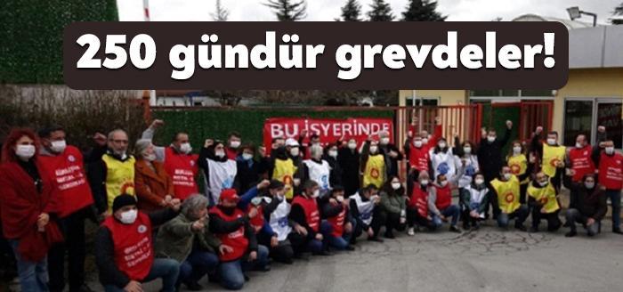 Kocaeli Haber - Birleşik Metal-İş’in yetki almasına rağmen patronun toplu