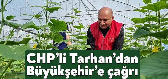 Kocaeli Haber - CHP Parti Meclisi Üyesi ve Kocaeli Milletvekili