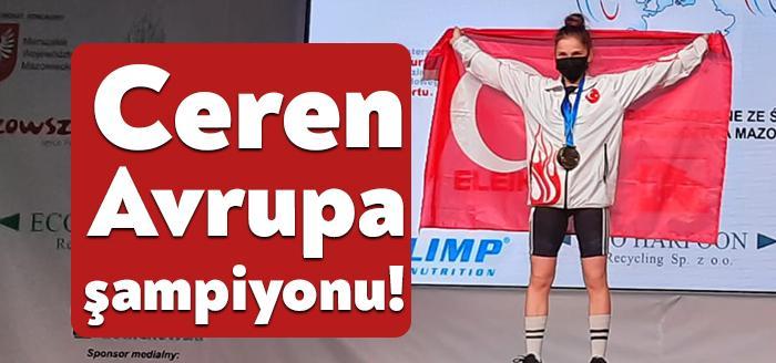 Kocaeli Haber - Kocaeli Büyükşehir Belediyesi'ne bağlı olarak hizmet eden