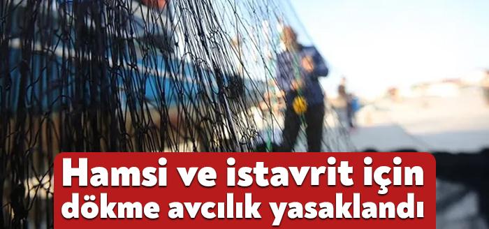 Kocaeli Haber - Marmara Denizi'ndeki stokların korunması amacıyla hamsi, istavrit