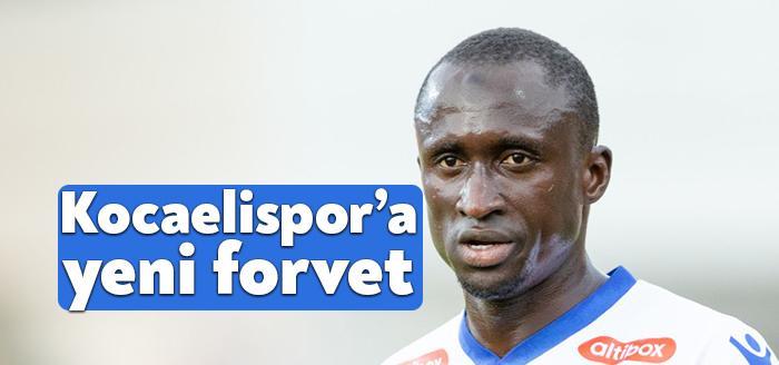 Kocaelispor'un, Norveç 1.Lig takımlarından Haugesund'ta forma giyen  Ibrahima Wadji (26)