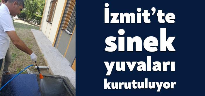 Mahalle ve sokaklarda ilaçlama çalışmalarını kesintisiz sürdüren İzmit Belediyesi Veteriner