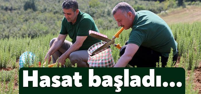 Büyükşehir Belediyesince, tarım ve kırsal kesimi desteklemek amacıyla geçen sene