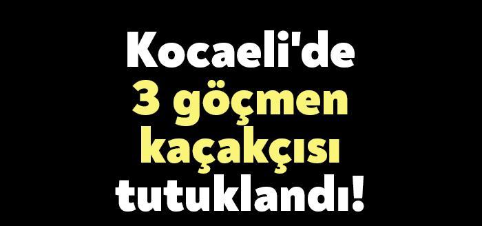 Kocaeli'de, kaçak göçmenleri taşıyan TIR ve taksi şoförü 3 kişi