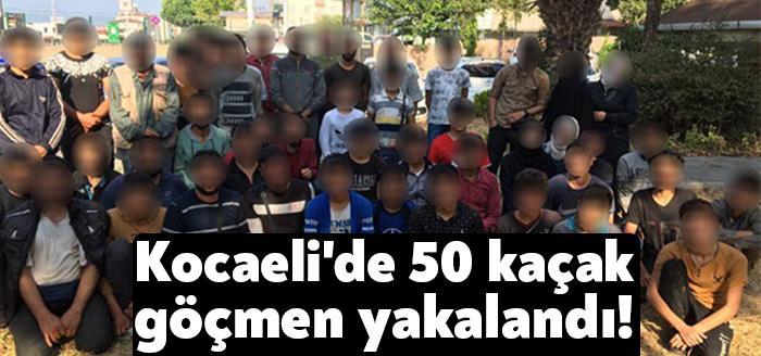 Kocaeli’de TEM Otoyolu'nda polis tarafından durdurulan bir araçta bulunan 50 kaçak