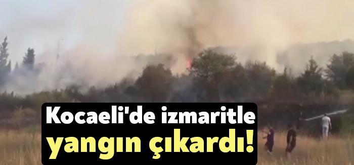 Kocaeli'nin Gebze ilçesinde, otluk alanda çıkan yangınla ilgili N.S. gözaltına alındı.
