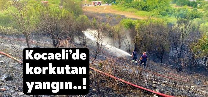 Kocaeli'nin Gebze ilçesinde bulunan bir ağaçlık alan alevlere teslim oldu.