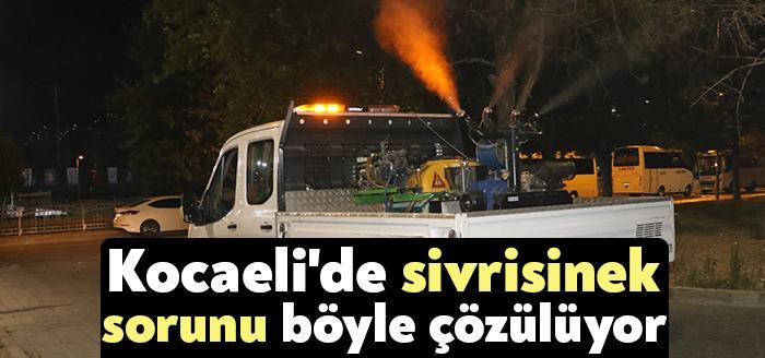 Kocaeli Büyükşehir Belediyesi, sivrisinekle mücadeleyi 12 ilçede 12 ay kesintisiz