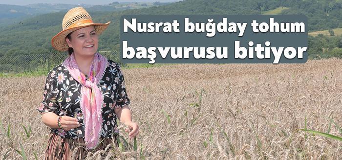 İzmit Belediyesi ve İzmit Ziraat Odası ortaklığında yürütülen Yerel Buğday
