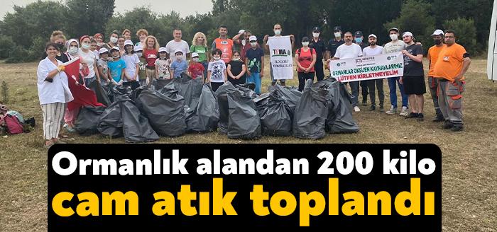 Körfez Belediyesi ve TEMA iş birliği ile Körfez’in üst noktalarında
