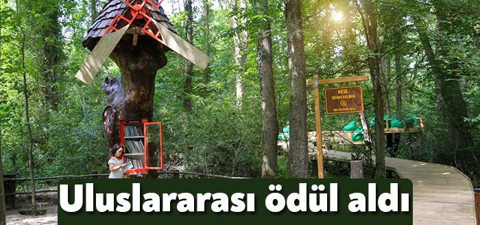 Kocaeli Büyükşehir Belediyesi’nin 2018 yılında faaliyete geçirdiği ve geçtiğimiz 3