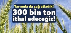 Kocaeli Haber – Buğday yetmedi 300 bin ton ithal edeceğiz!