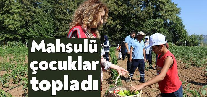 İzmit Belediyesi Durhasan Mahallesi Tarımsal Üretim Bahçesi’nde çocuklarla birlikte hasat