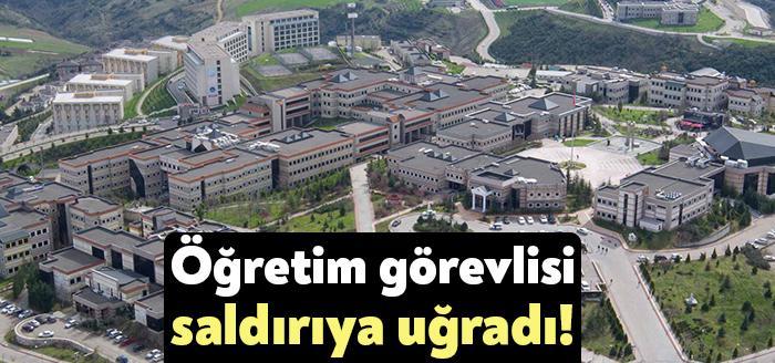 Kocaeli genelinde sık sık yaşanan sokak köpeği saldırısına bir yenisi