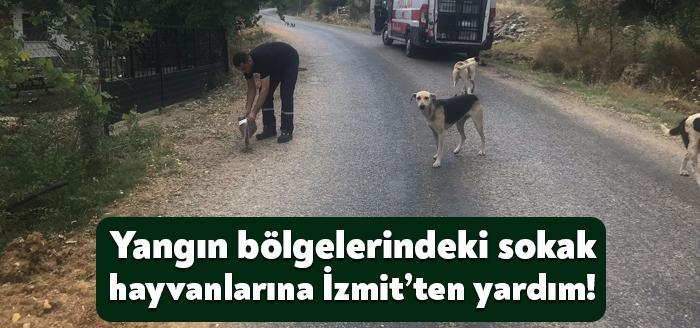 Muğla’daki orman yangılarıyla mücadeleye destek vermek için bölgeye giden İzmit
