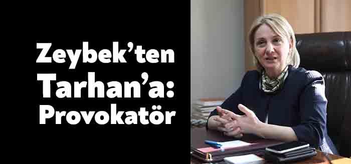 AK Parti MKYK Üyesi Kocaeli Milletvekili Emine Zeybek, Cumhurbaşkanı Recep