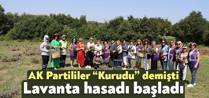 Kadınların üretime katılması, iş sahibi olması ve aile ekonomisine katkıda