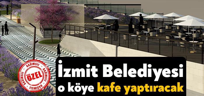 Kocaeli Haber - İzmit Belediyesi Çayırköy’de lavanta parkı kurmak için