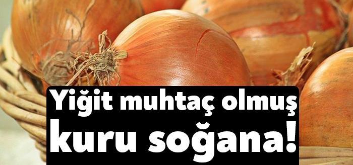 Türkiye İstatistik Kurumu Başkanlığı Kocaeli Bölge Müdürlüğü, TR42 Bölgesine ait,