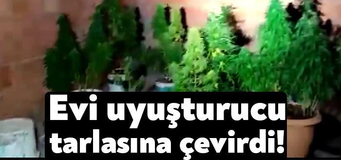 Kocaeli Emniyet Müdürlüğü ekipleri tarafından Derince’de bulunan bir eve düzenlenen