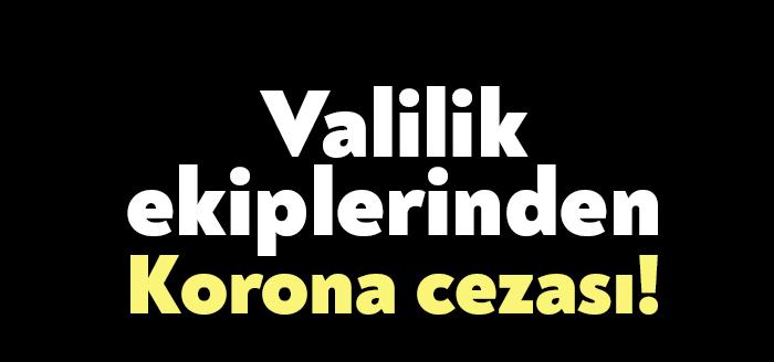 Kocaeli Valiliği ekipleri, 26.07.2021- 01.08.2021 tarihleri arasında İlimiz genelinde gerçekleştirilen