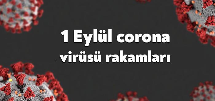 Kocaeli Haber - 1 Eylül corona virüsü tablosu açıklandı. Sağlık