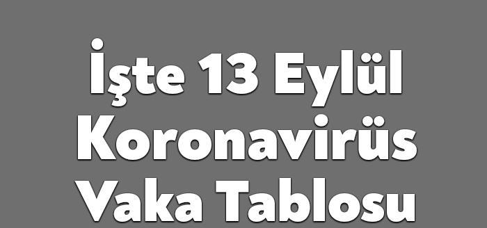 Sağlık Bakanlığı'nın açıkladığı 13 Eylül 2021 Pazartesi gününün corona virüsü