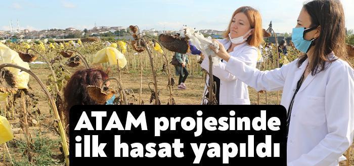 GTÜ ATAM tarafından yeşil mutabakat doğrultusunda ülke genelinde çeşitli bitkiler