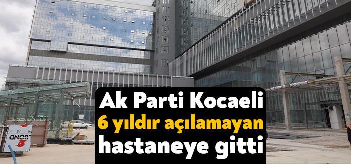 Kocaeli Haber - Ak Parti Kocaeli İl Teşkilatı yapımı yılan