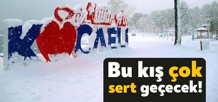 Kocaeli Haber -Leyleklerin bu yılki göç takvimini analiz eden ve