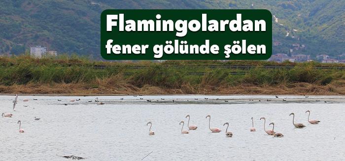 Körfez sahilinde bulunan Fener Gölü, göçmen kuşların dinlenme alanı oldu.