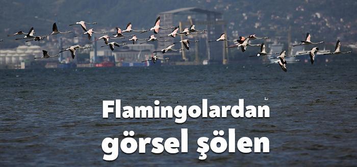 Kocaeli Haber - Kocaeli Büyükşehir Belediyesi’nin yaptığı arıtma tesisleriyle tertemiz