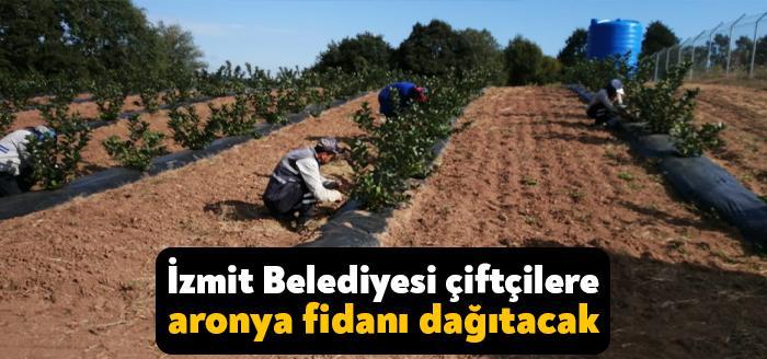 İzmit Belediyesi, Alternatif Ürünler Bahçesi’nde yaptığı adaptasyon çalışmasında kentin iklim