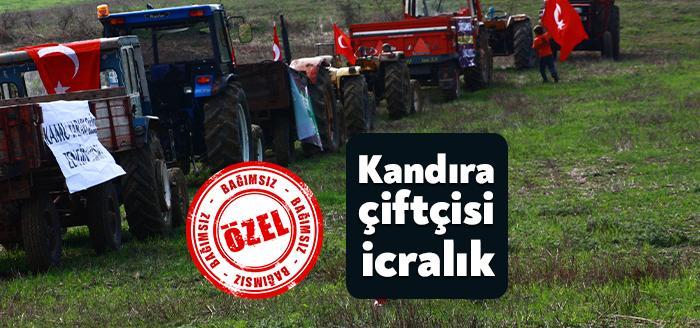 Kocaeli Haber - Kandıra’da bulunan tarlalar, mahkeme tarafından icra yoluyla