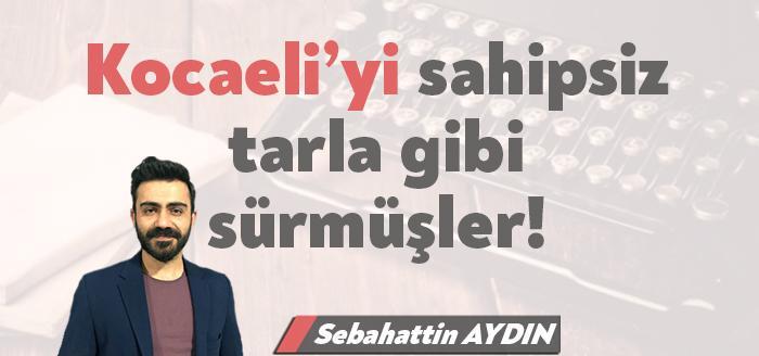 Sebahattin Aydın'ın İzmit Körfezi'ndeki tahribatla ilgili yazdığı köşe yazısıdır.
